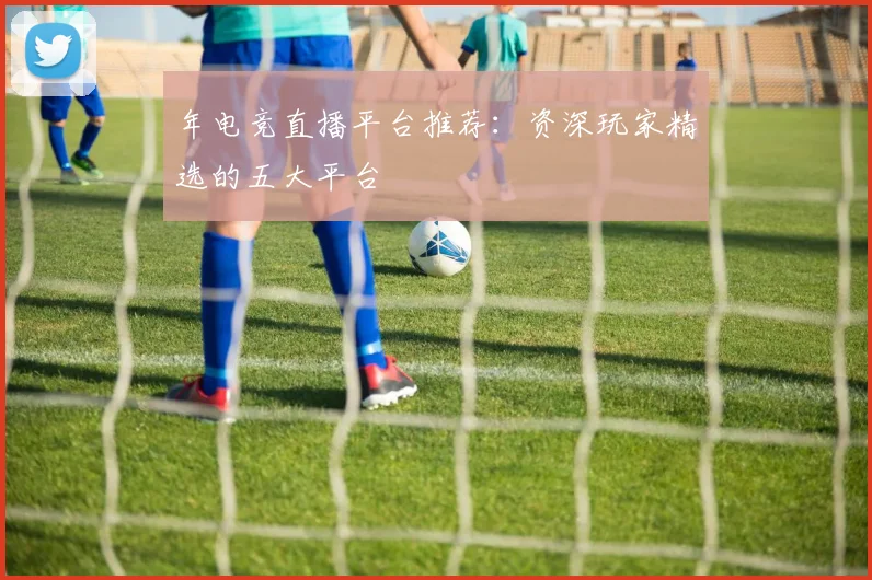 年电竞直播平台推荐:资深玩家精选的五大平台